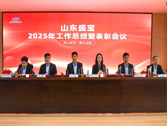 馬躍新程 · 駿啟華章|山東盛寶2026迎新春文藝大會